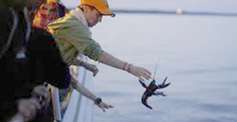 Tibeti buddhist&aacute;k t&ouml;bb mint 500 hom&aacute;rt szabad&iacute;tottak ki